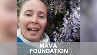 MAVA Foundation