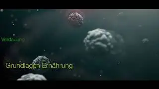 Online Ern&auml;hrungsberater | Ern&auml;hrungscoach Ausbildung | Fitness Ausbildung Online | Fernstudium