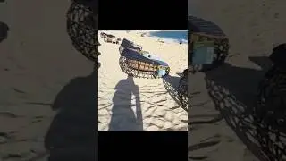 Atlantis Resort - The Cove - Daybed Rental (December 2025)