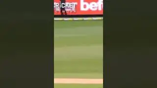 Kheel Ahmad reaction wicket in cricket tiktok video new tiktok video whatsapp status