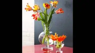 Dallas Florist