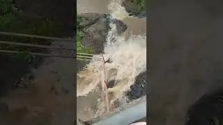 Kasara Waterfall #Short #video