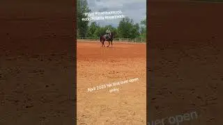 Trust the process! watch Teeter transform! #horse #equestrian #barrelracing #dream #goals #goal