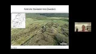 Microbial Fe cycling in permafrost peatlands: impact on organic carbon cycle and greenhouse gas