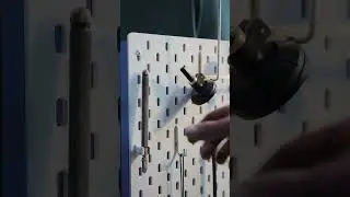 birds use tools for nesting