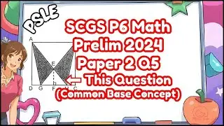 SCGS P6 Math Prelim 2024 Paper 2 Q5 Triangles: Common Base Concept