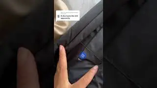 Yeezy Gap Balenciaga snake bag review