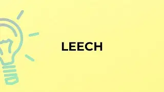 What is the meaning of the word LEECH?