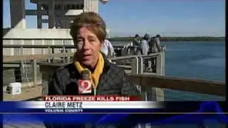 Fish Killed By Cold Temps