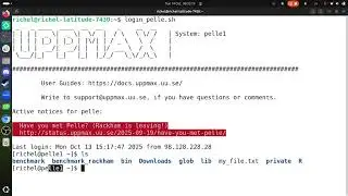 NAISS Intro to HPC Python Day 1: Using the Python interpreter, for Pelle