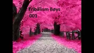 Tribalism Boys - Micci Love [ Foot lovers music ]