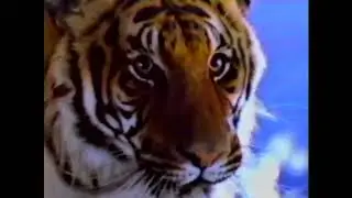 Federal Express Flying Tiger Line Merger Commercial