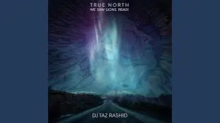 True North (We Saw Lions Remix)