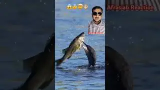 The Bird That Swallowed The Impossible 😱😨
