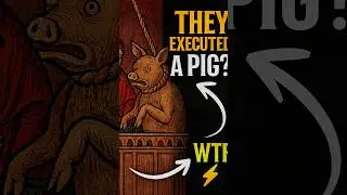 Pig on trial?! 🐷⚖️ Funniest court ever! 👀🔥 #PigTrial #Viral #Shorts #facts #ai #animalfacts #funny