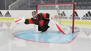EASHL SAVE COMPILATION