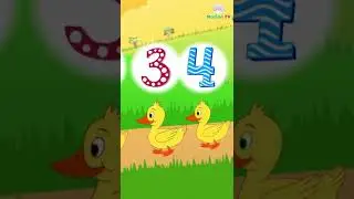 Five little duck | Cartoon videos nursery rhyme song | Kids videos