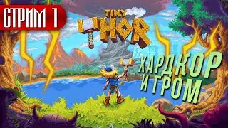 МАЛЕНЬКИЙ ТОР &ndash; ХАРДКОРНЫЙ РЕТРО ПЛАТФОРМЕР ► TINY THOR ► СТРИМ 1