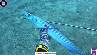 See how fishing at the bottom of the ocean | See how fishing at the bottom of the ocean