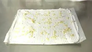 Meringová Roláda