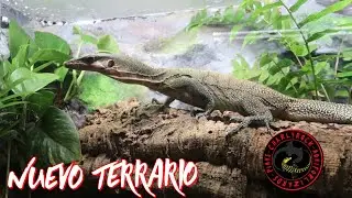 NUEVO TERRARIO/NUEVO REPTIL 🦎 🐊🐍