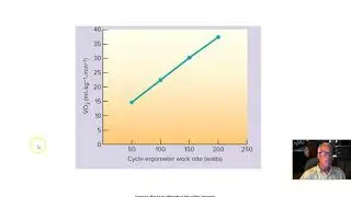 Exercise Phys Ch 1 Part 2 Energy Expenditure and Efficiency