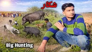 Suvar Ka Shikar | Dangerous Wild Boar Hunting in Village | Real Desi Hunting