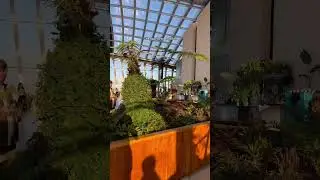 COOLEST ROOFTOP BAR in London! Skygarden bar & observatory #londontravel #london #travelfinds #uk