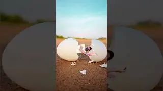 Creative Egg 🐣😄 Photography Ideas #creative #shorts #viralvideo #egg #photography