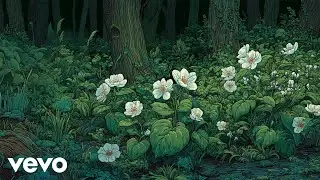 Conductori - Chopin Nocturne 2 (Orchestrated)