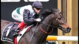 $101 FUTURES BET | MR BRIGHTSIDE&rsquo;S 3RD STRAIGHT MAKYBE DIVA - Flemington Review Show (13/9/25)