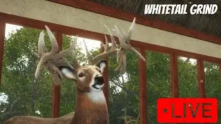 Whitetail Grind | Hunter call of the Wild