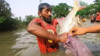 Traditional Village Pond In Fishing | Village Festival Fishing