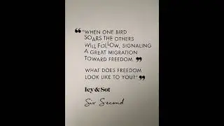 Quote about Freedom #motivation #mindset #coaching #freedomquotes #life  #inspiration #quotes