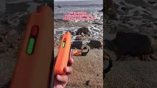 Best Hunting Dog GPS Tracker 2026 #eseek