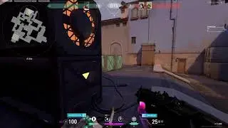 6 Kills Ace with Reaver Vandal || VALORANT || REYNA ULT