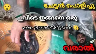 😮ഇത് ഏതാ മീൻ #fishing boy#like #fish #subscribe #support