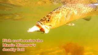 Fishing saltwater twitch baits on Florida flats | Manic Minnow lures by MareaGear