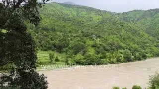 Mahseer fisherman's paradise: View of Saryu river from Pancheswar temple in Champawat, Uttarakhand