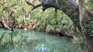 Green Spring Park: Orlando&rsquo;s Secret Gem
