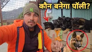पॉली तो चला गया..पर यादें आज भी ज़िंदा हैं 🐶|| village lifestyle vlog || sj family vlog || sujan 