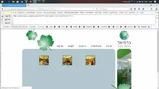 Sql Injection || Site Not Responding || BOF Based Sql Injection || Red Team