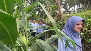Panen Perdana Tanaman Cabai melalui Bantuan Dana Keistimewaan Th Anggaran 2025, 9 sep 2025