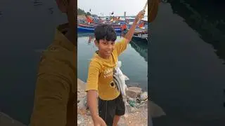 ഇവനൊരു മീനിനെ പിടിച്ചു         #fishing #fisherman #seafishing #fish #shorts #casting
