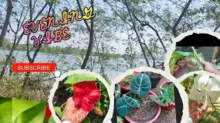 #happymemories എൻ്റെ കുഞ്ഞു യാത്ര വിശേഷങ്ങൾ പഴയകാല ഓർമകൾ😍😍