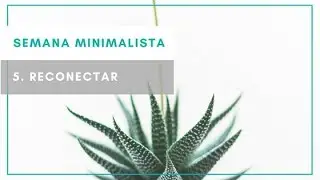 ¿Qué hacer para reconectar? SEMANA MINIMALISTA 5