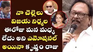 Krishnam Raju Emotional Speech @ Vijaya Nirmala Statue Inauguration | Krishna, Mahesh Babu, Naresh