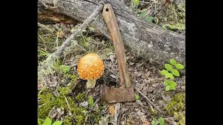 Axe Throwing in the Woods | First Time Hatchet Throwing