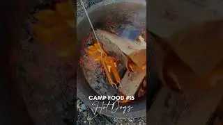 If you like camp food, get this double hot dog campfire roaster! 🏕️ #camping