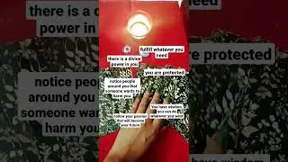 urgent guidance from universe #intuitive #shortsvideo #oraclecards